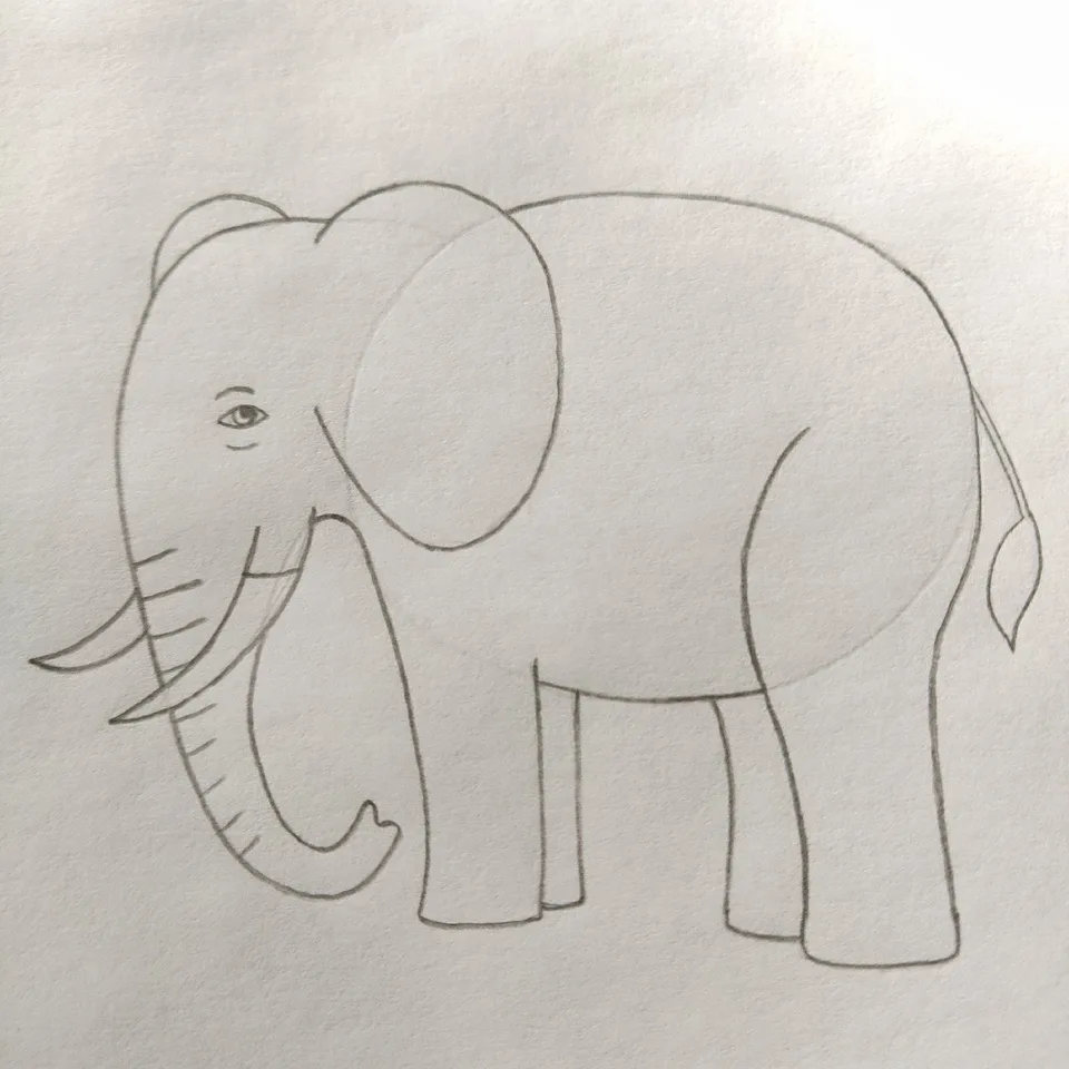 Слон карандашом для детей