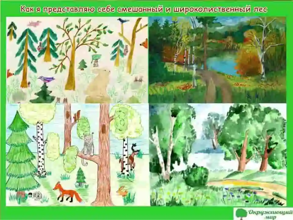 Рисунок леса