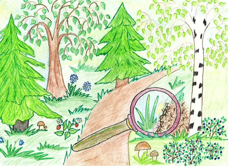 Лес детский рисунок