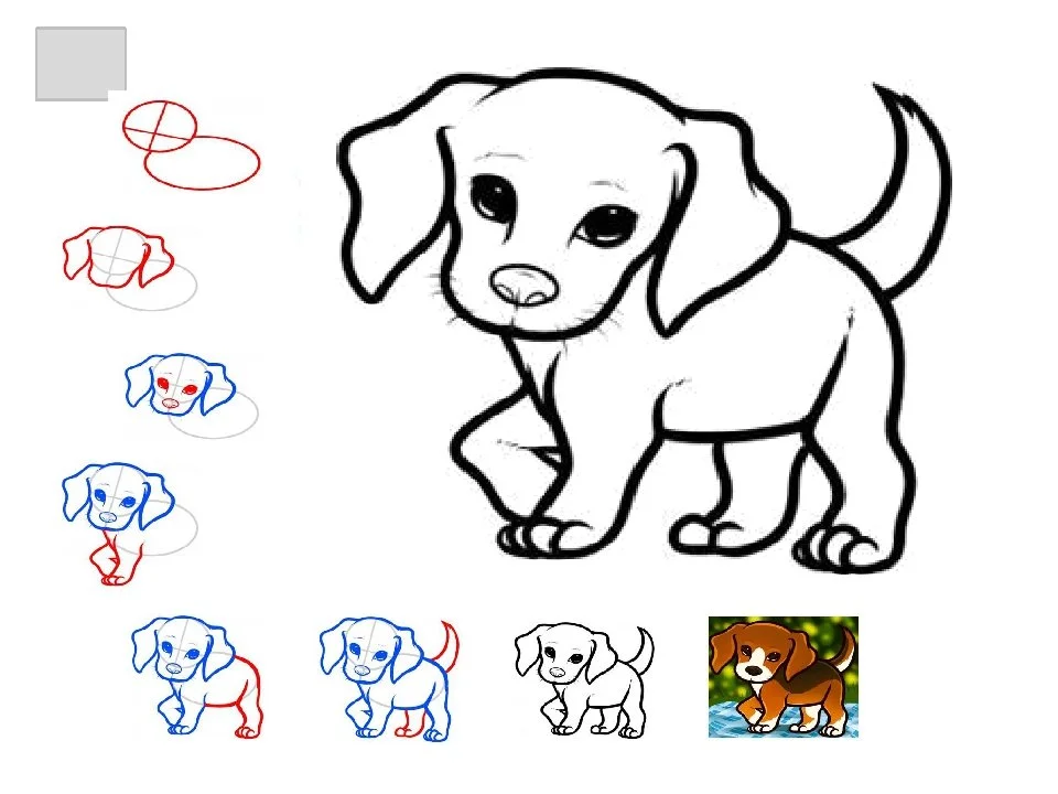 Рисунок собаки поэтапно для детей