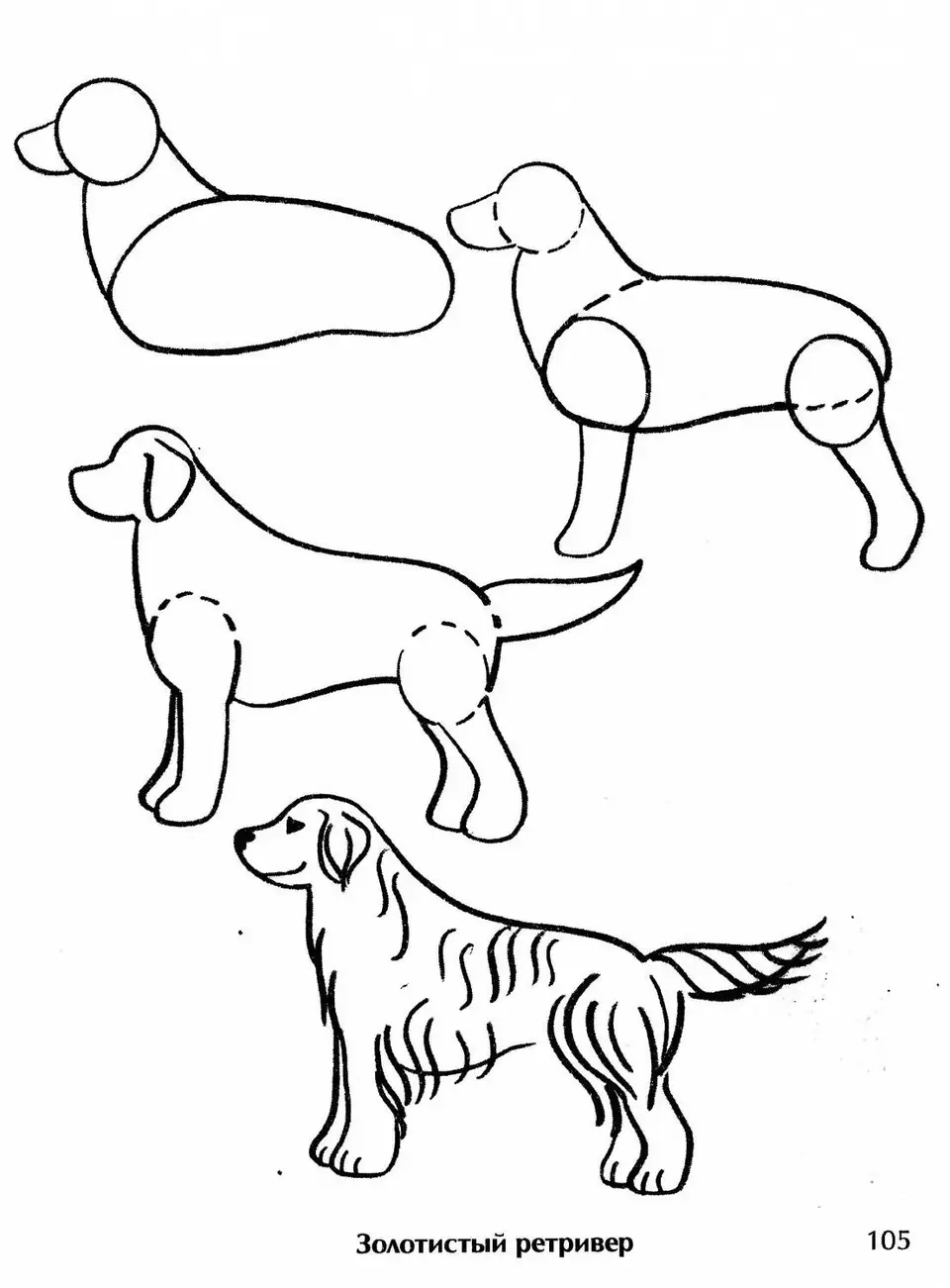 Собака рисунок для детей карандашом