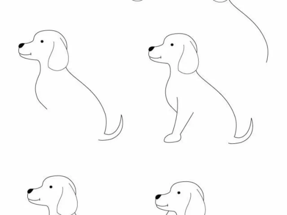 Рисунки собак поэтапно