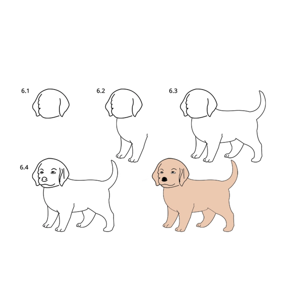 Пошаговое рисование собаки