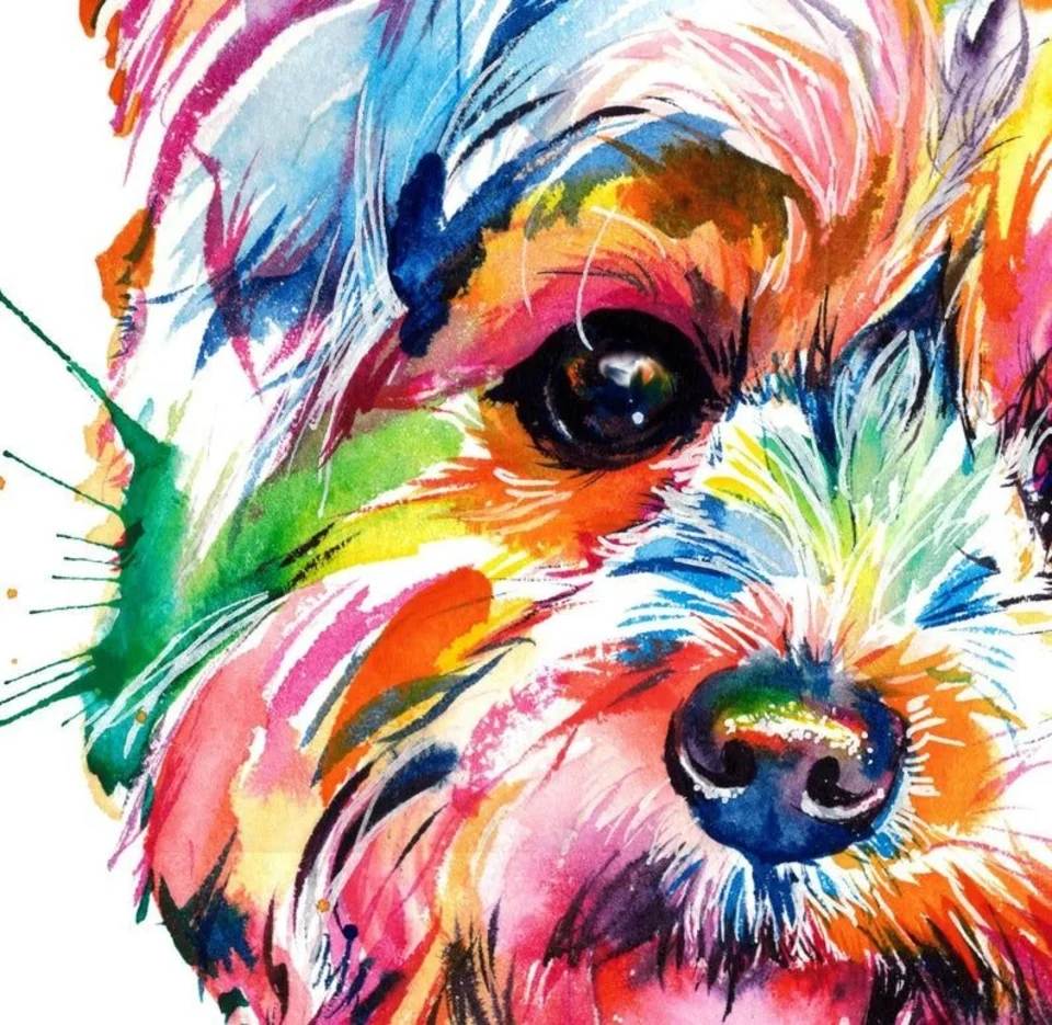 Собака красками