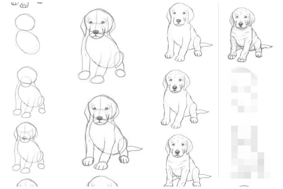 Рисунки щенков карандашом для начинающих