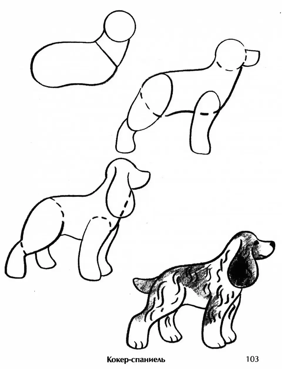 Рисование собаки поэтапно
