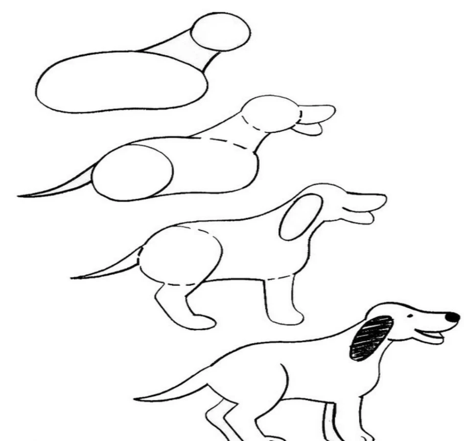 Поэтапное рисование собаки