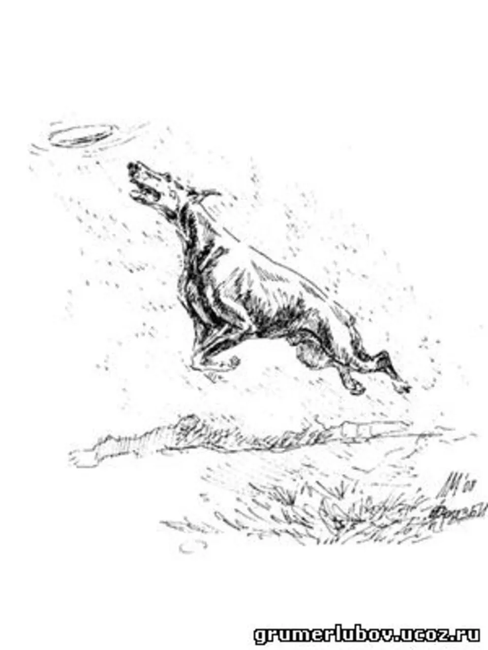 Собака прыгает рисунок карандашом