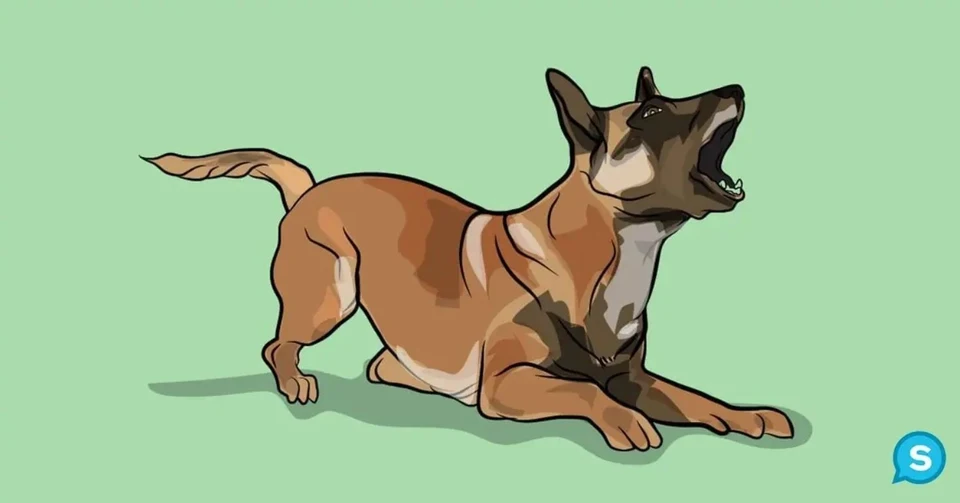 Лающая собака рисунок