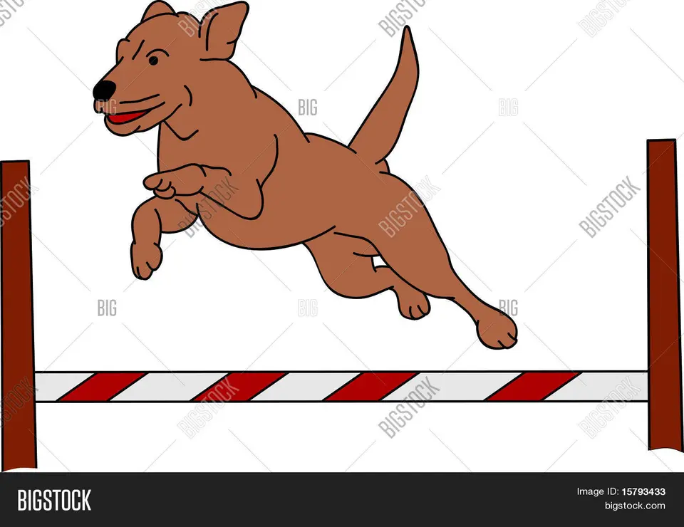Прыгающая собака
