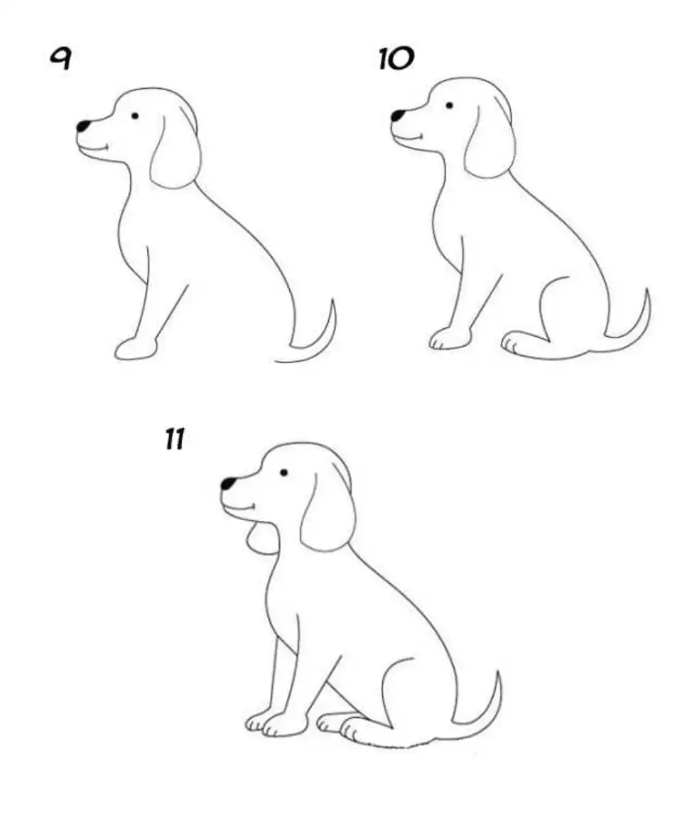 Собака рисунок поэтапно
