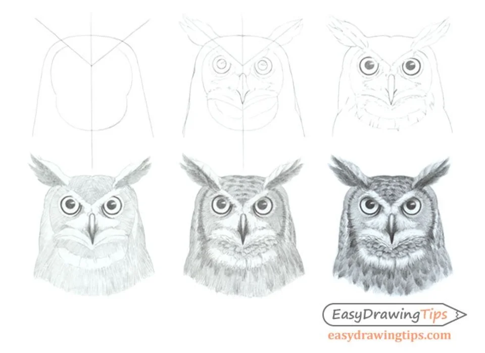 Поэтапное рисование совы карандашом