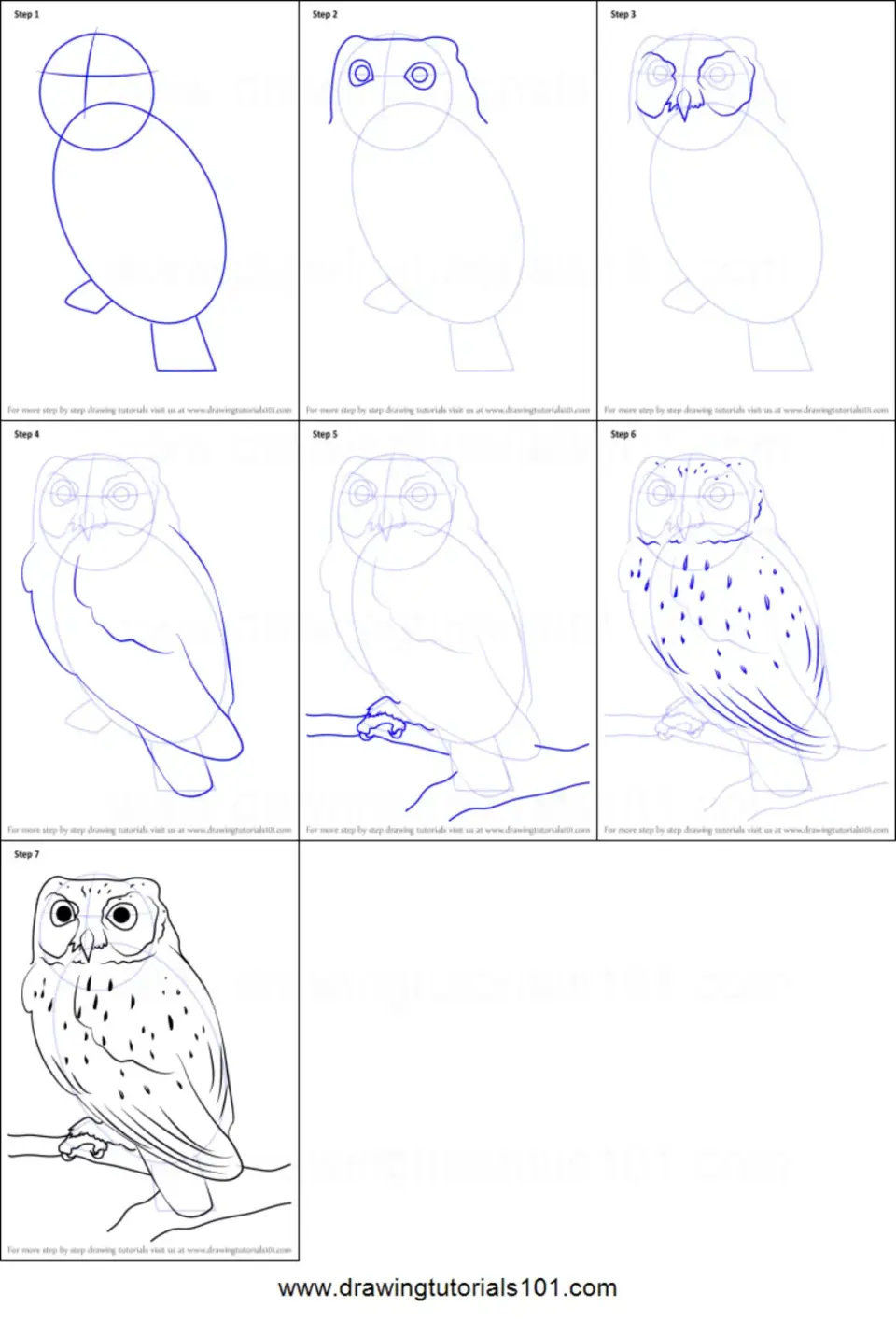 Поэтапное рисование совы