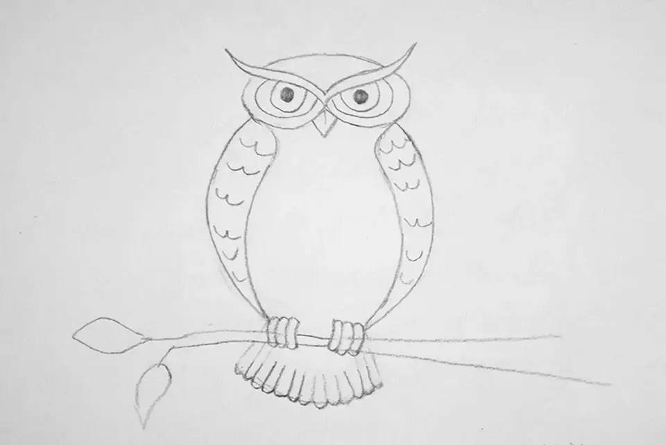 Рисунки совы карандашом для начинающих