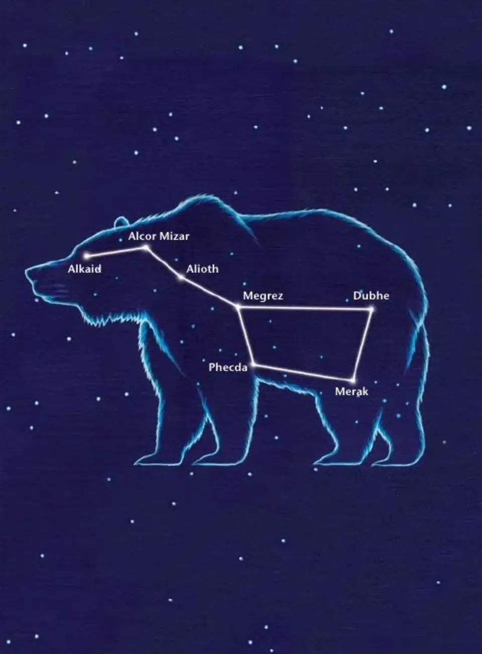 Созвездие большой медведицы