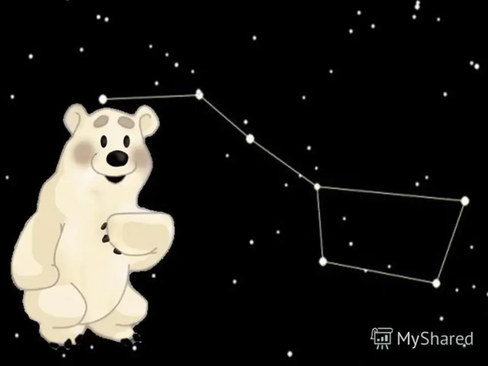 Созвездие большой медведицы окружающий мир 1 класс
