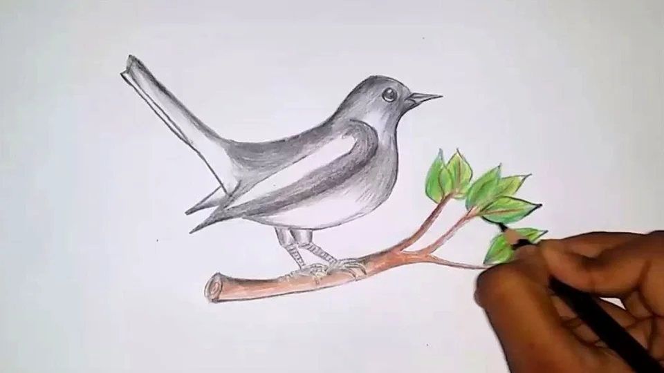 Птичка карандашом