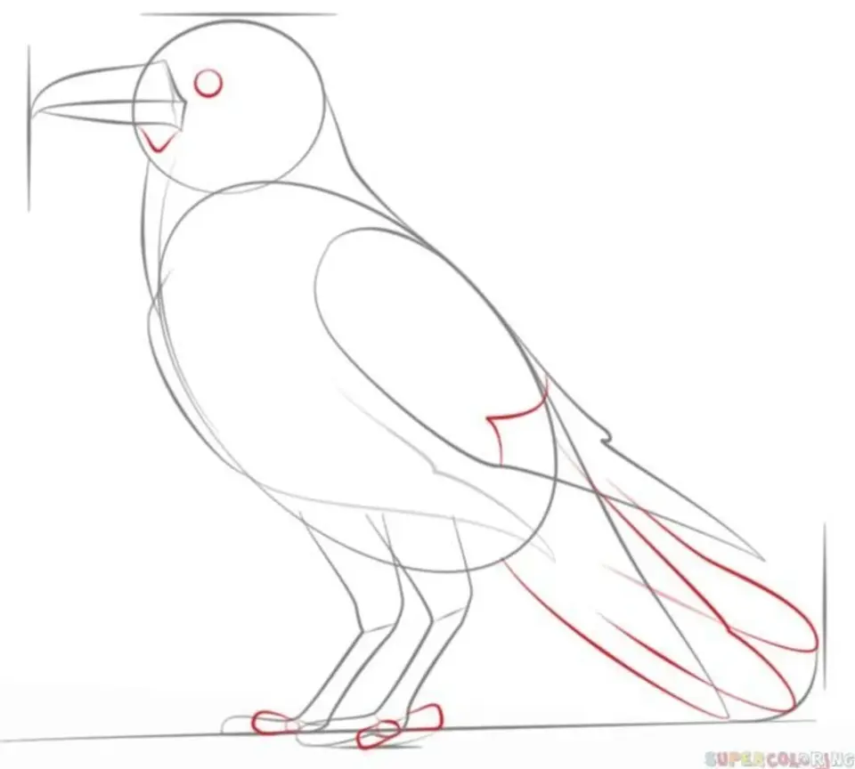 Поэтапное рисование вороны