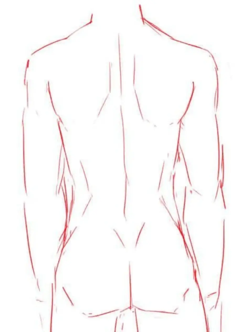 Мужское тело рисунок