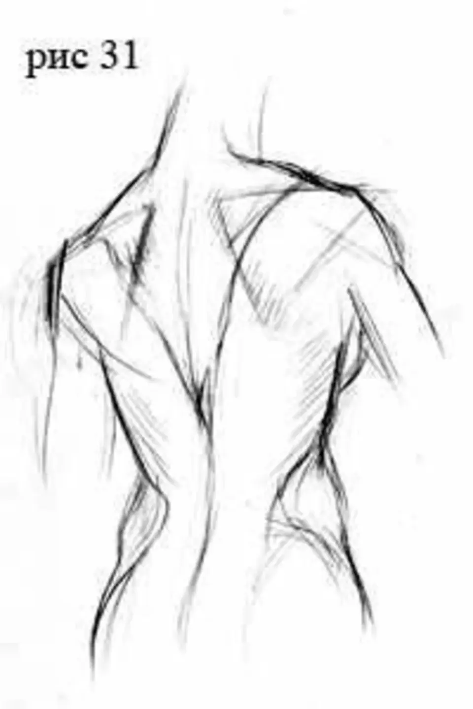 Тело для рисования спина