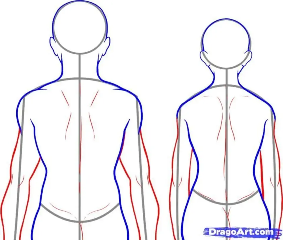 Тело человека со спины