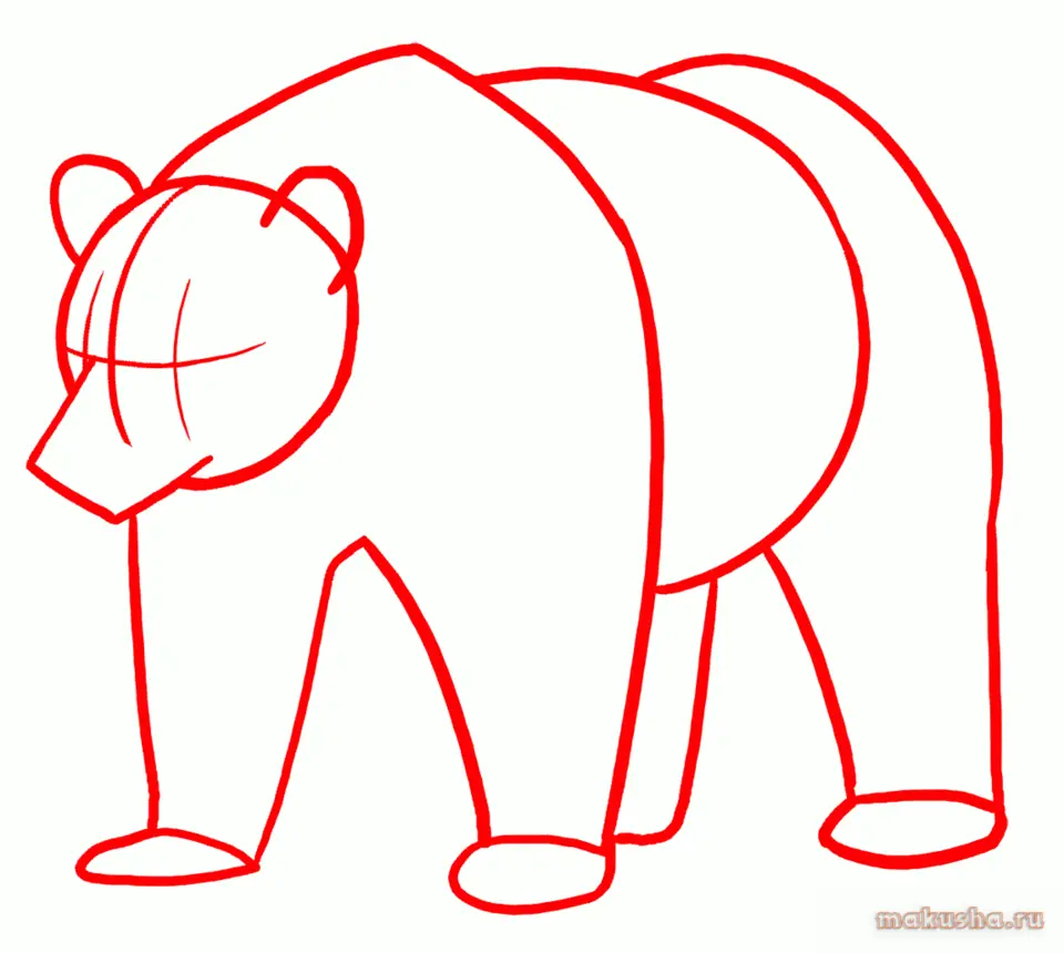 Медведь карандашом для детей