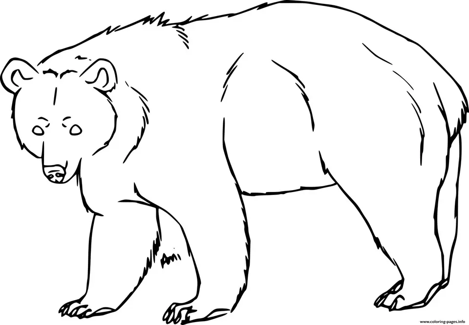 Медведь рисунок для детей карандашом