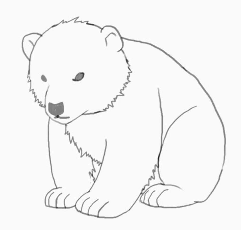 Рисунки медведя для срисовки