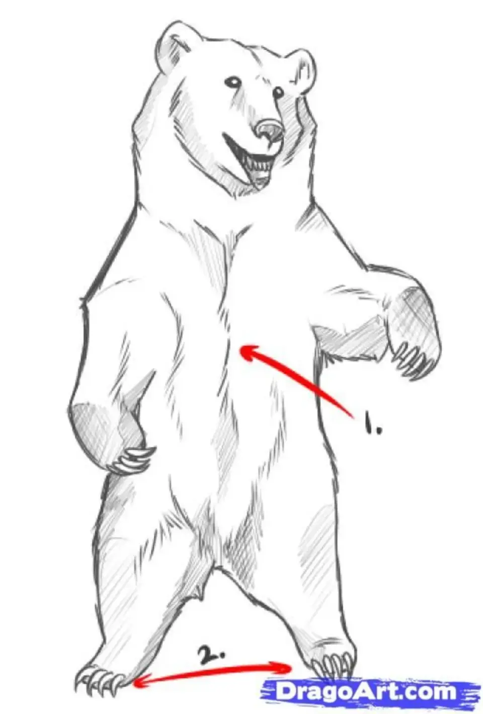 Рисунок медведя