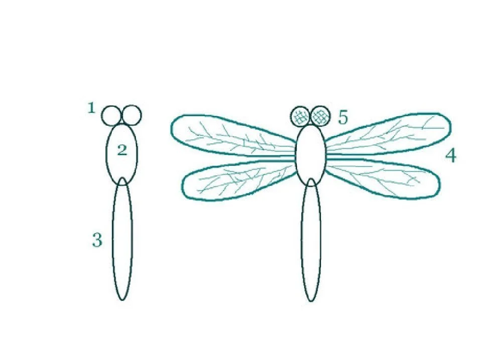 Рисование симметричных форм насекомые стрекоза