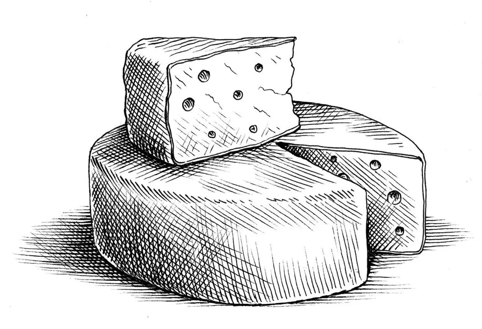 Сыр эскиз