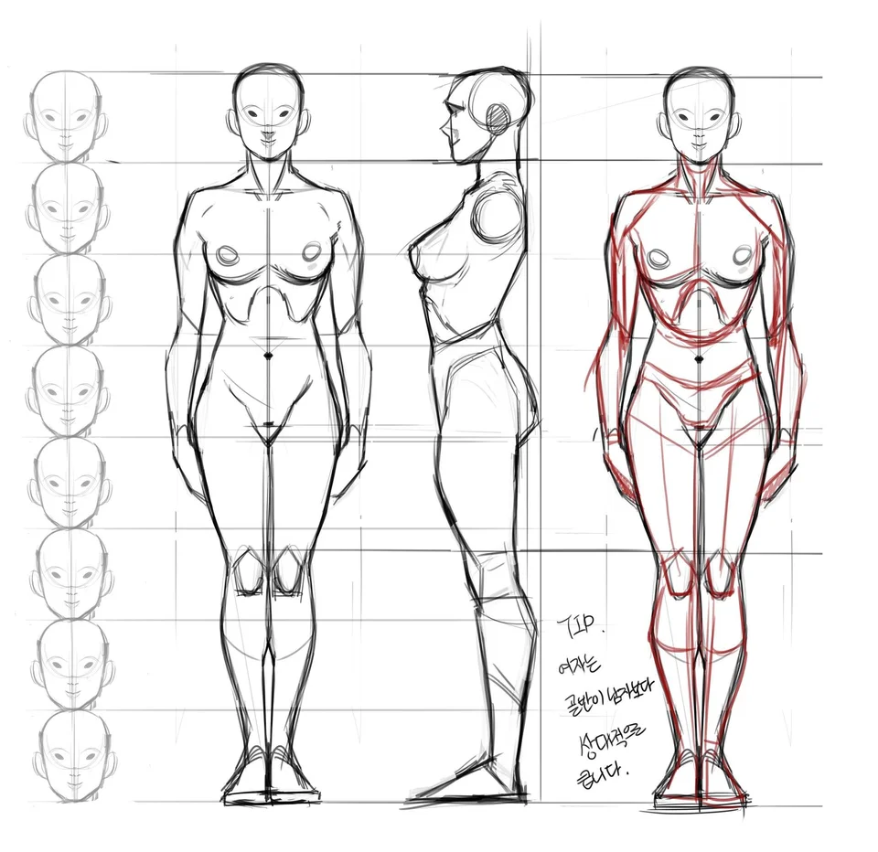Анатомия рисования человека
