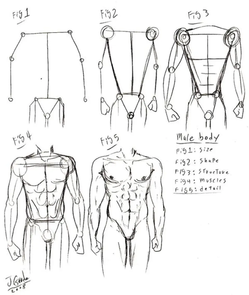 Рисунок мужского тела