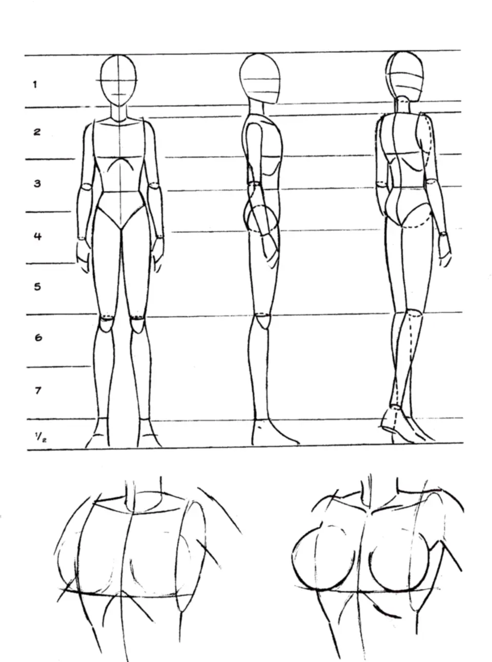 Рисуем тело человека пропорции