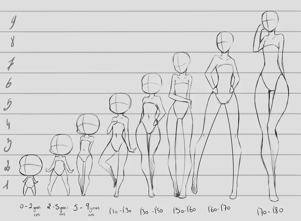 Пропорции тела для рисования аниме