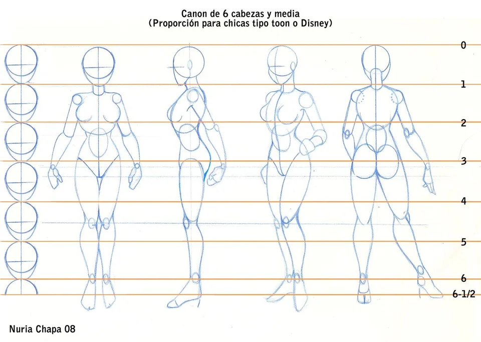 Пропорции аниме тела