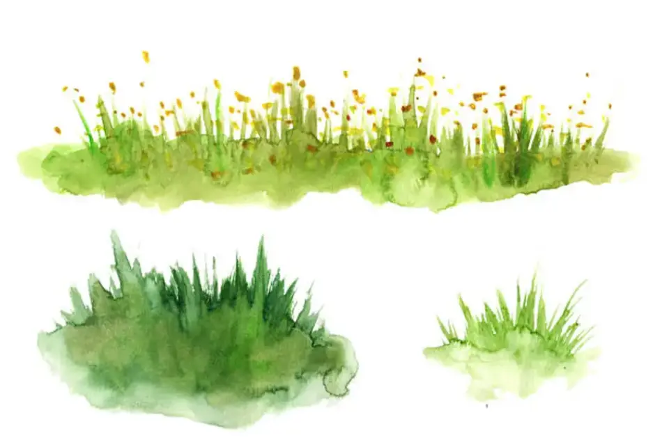Трава рисунок
