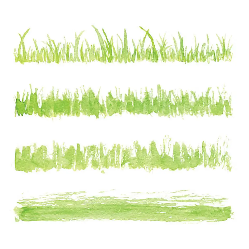 Трава штрихами