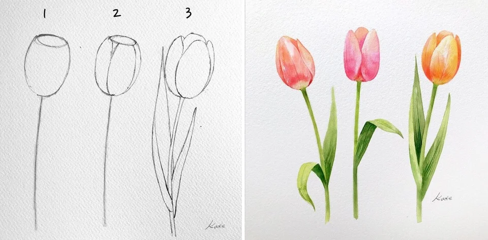 Рисовать тюльпаны