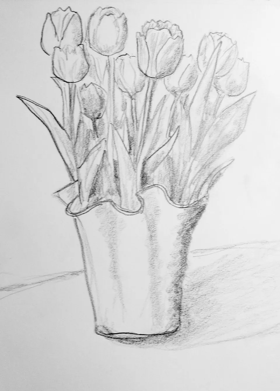 Тюльпаны простым карандашом рисунки