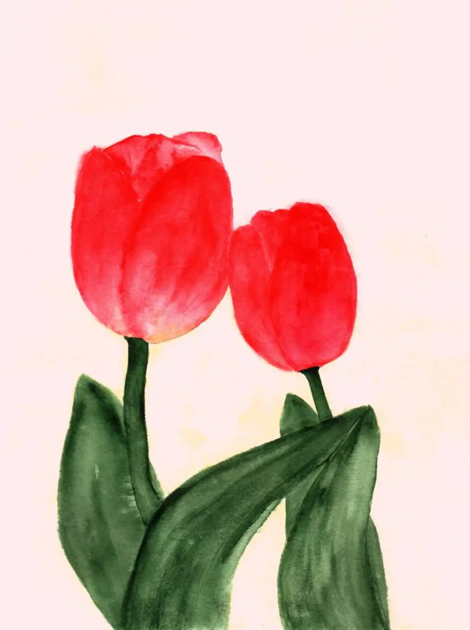 Рисуем тюльпаны гуашью