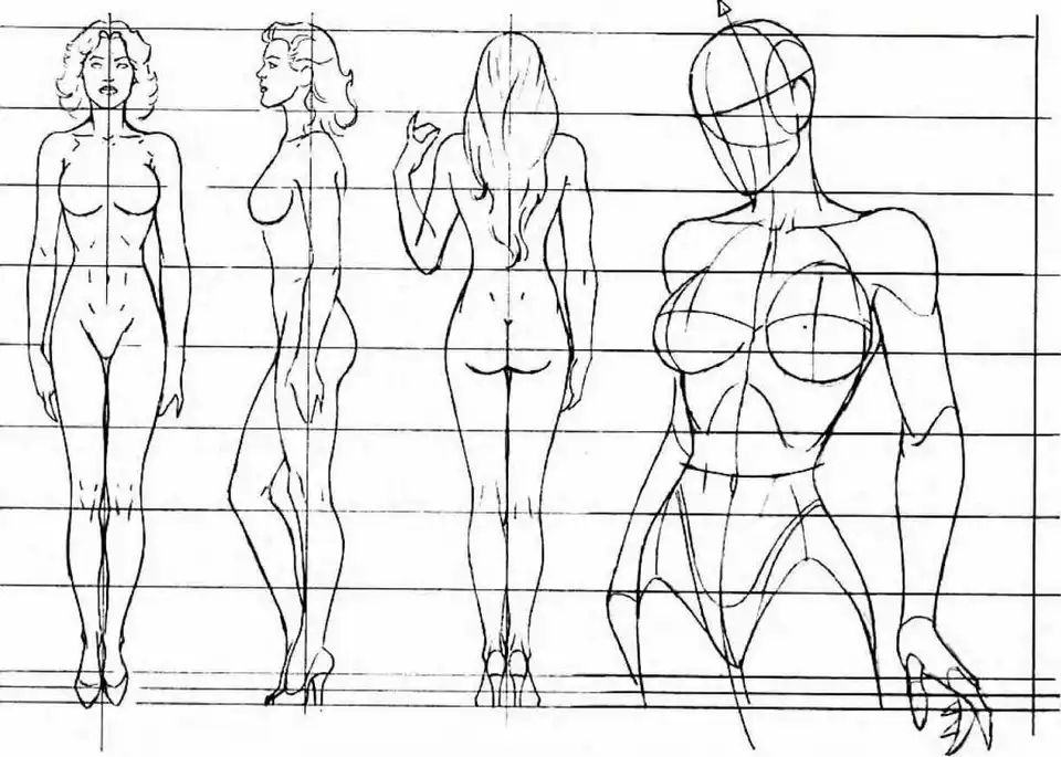 Пропорции тела женщины