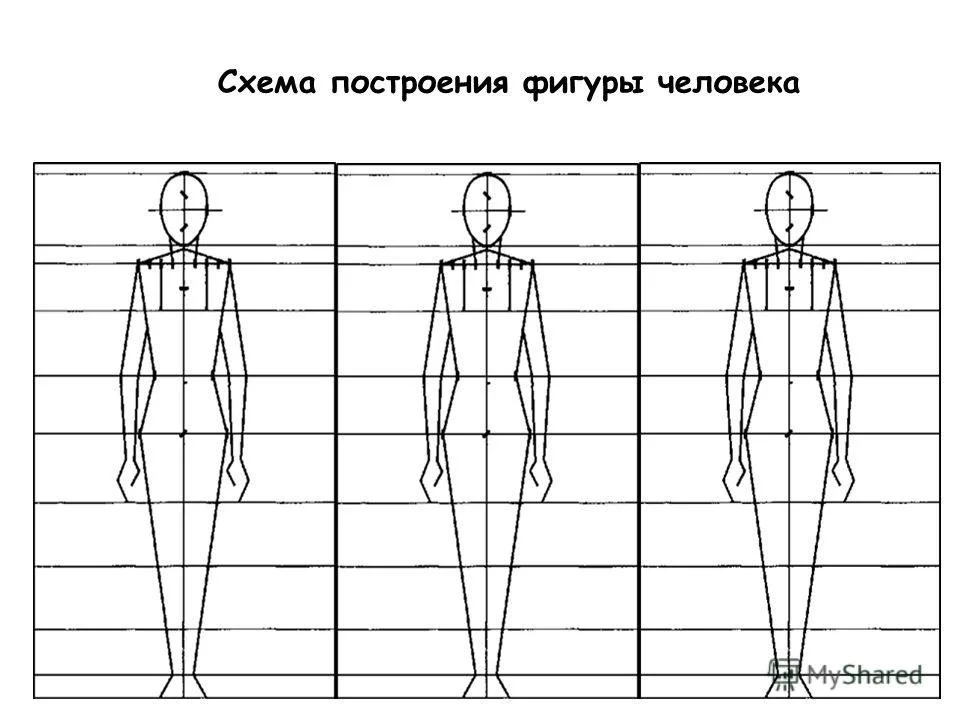 Схема построения фигуры человека