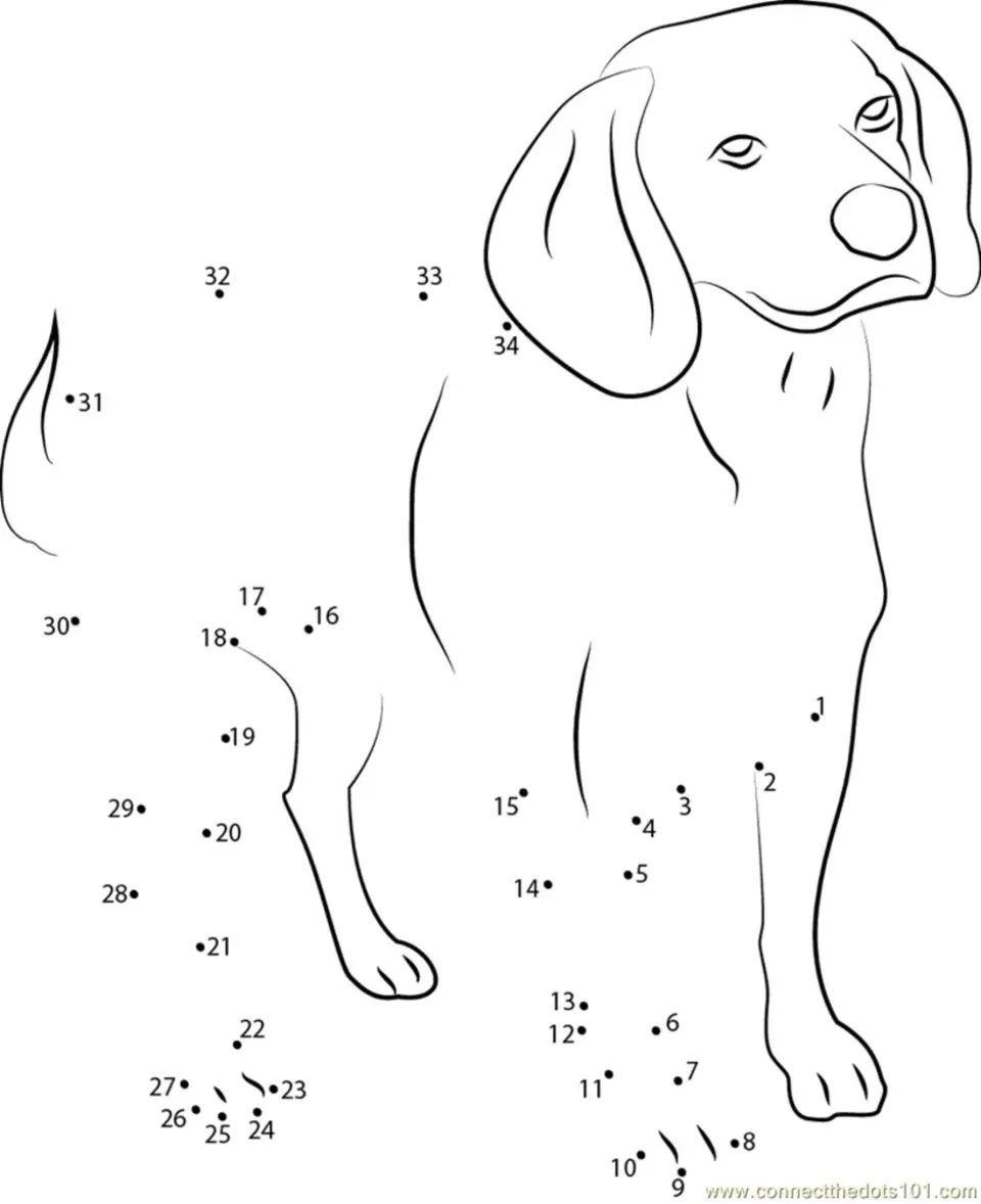 Рисование по точкам собака