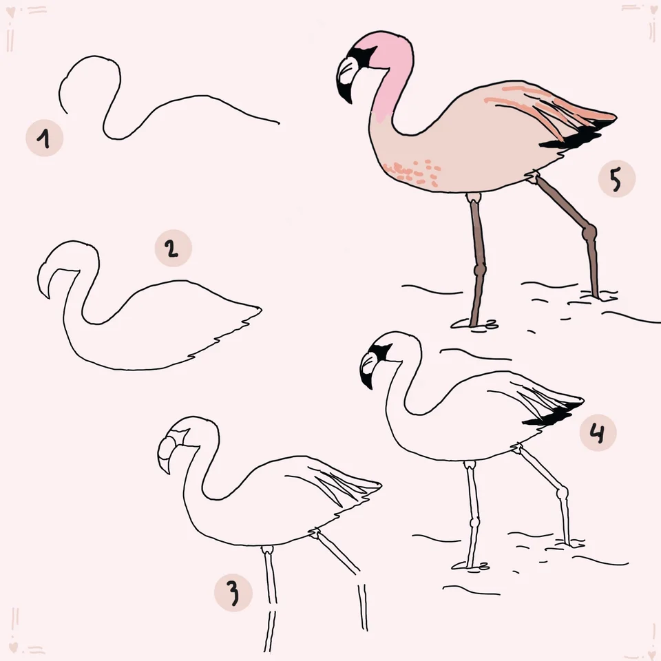 Поэтапное рисование фламинго для детей