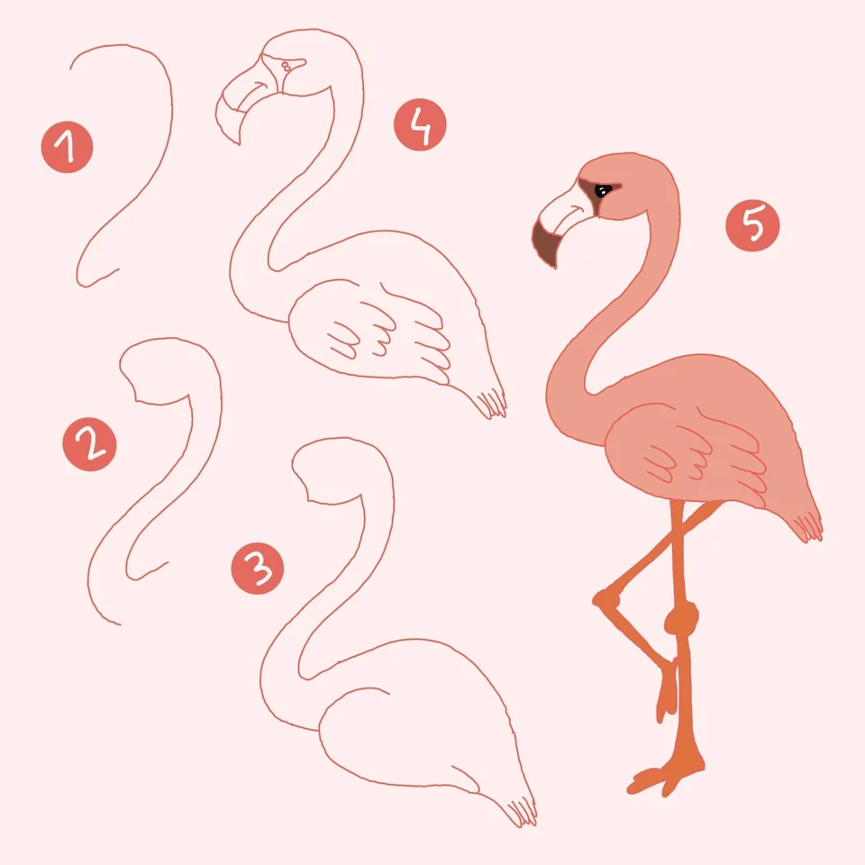 Рисуем фламинго поэтапно