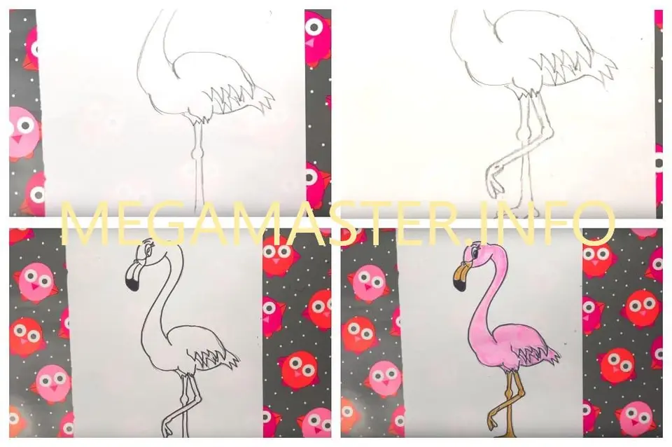 Фламинго рисунок поэтапно