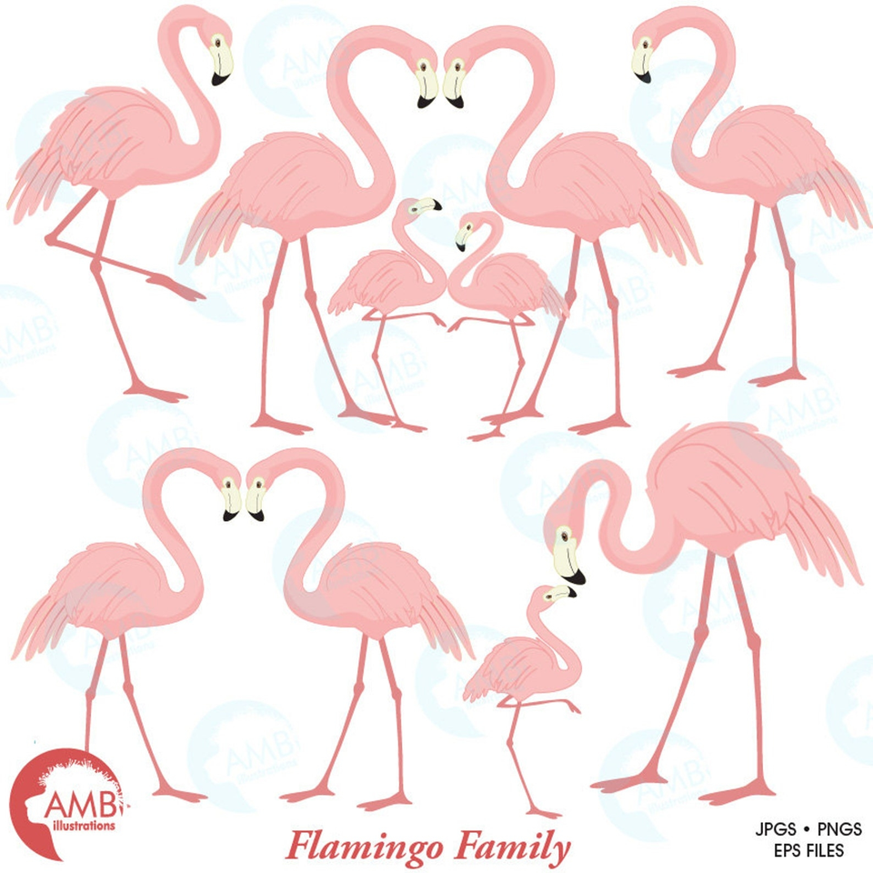 Фламинго поэтапно