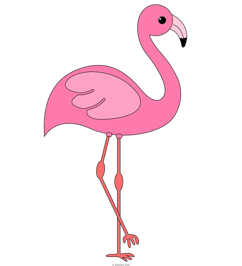 Розовый фламинго силуэт