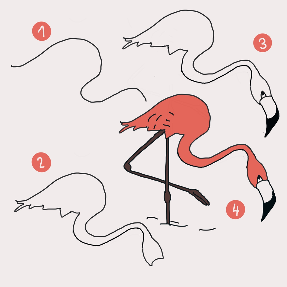Пошаговое рисование фламинго